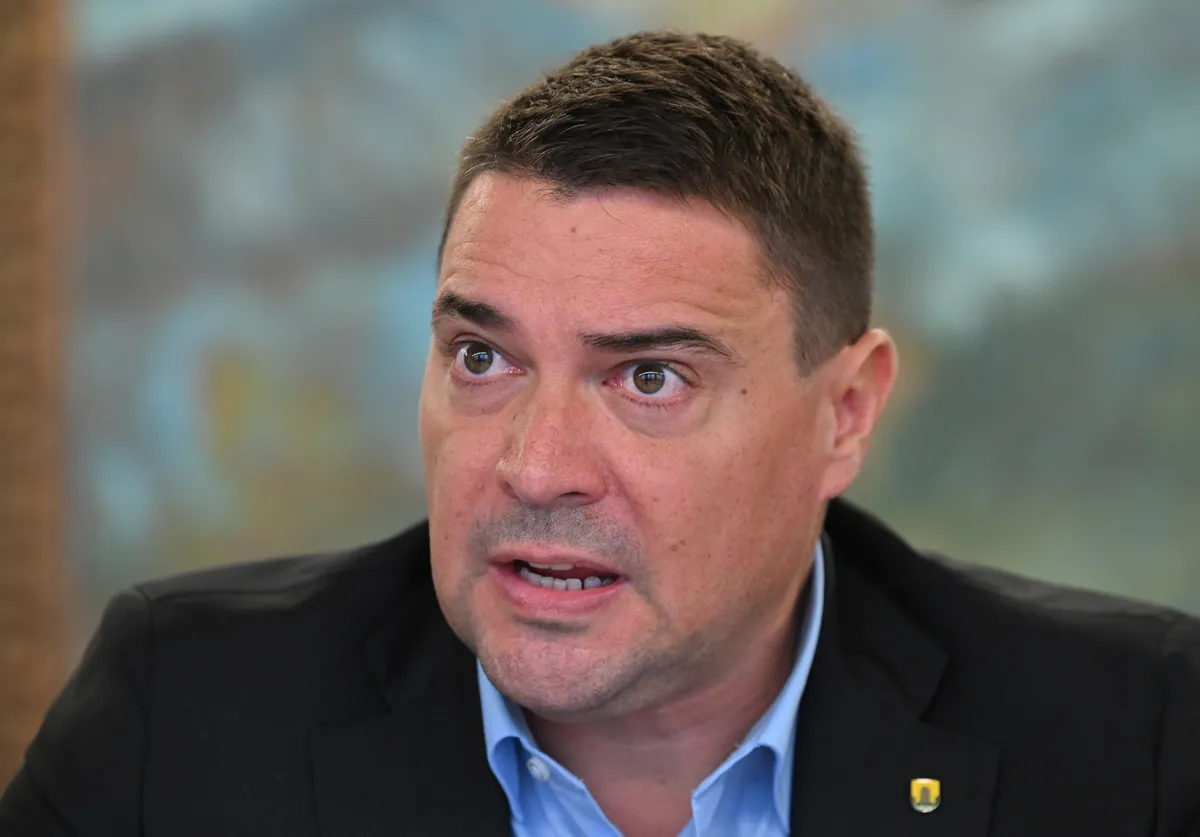 Slika članka