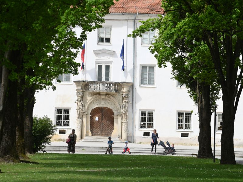 Slika članka