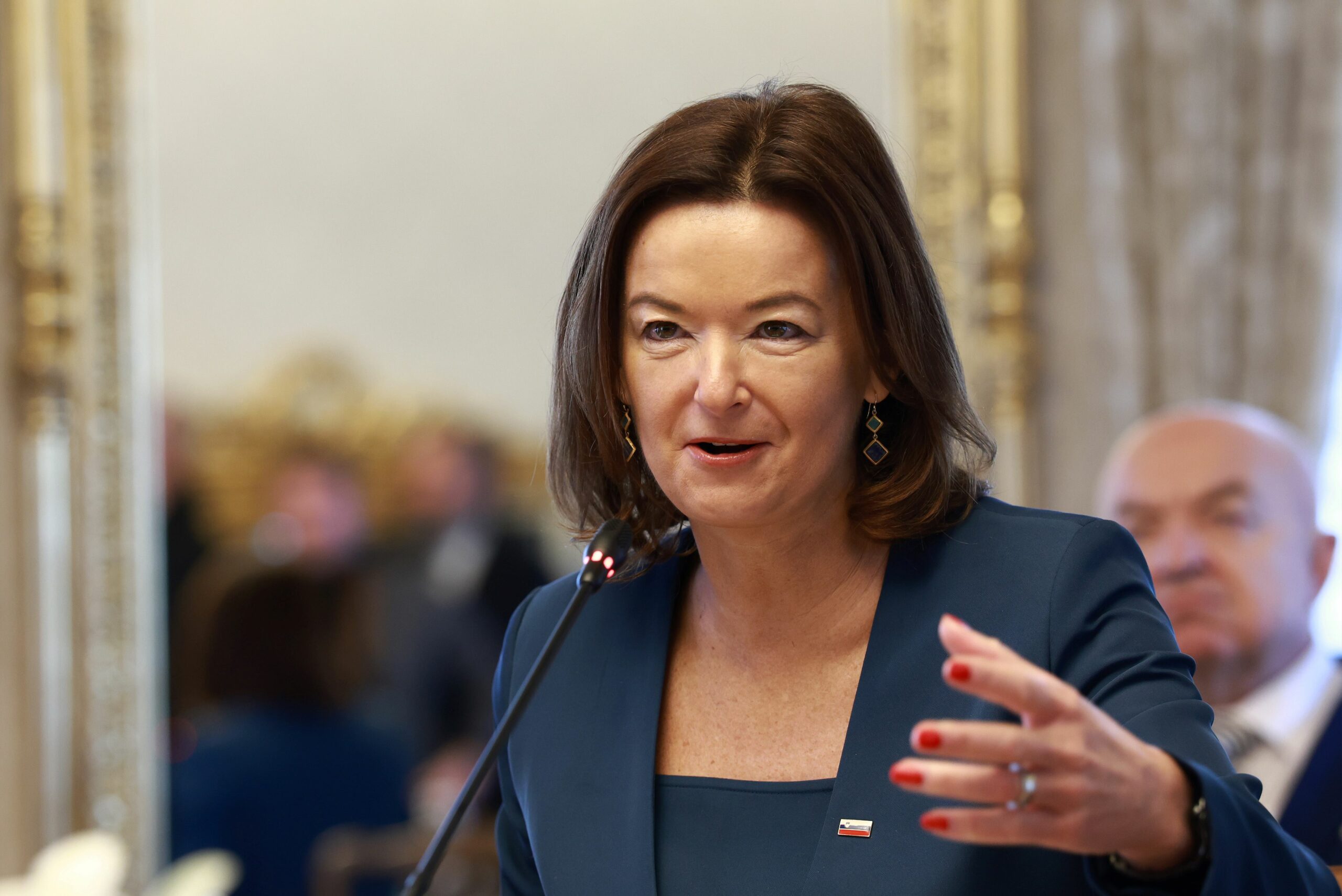 Slika članka