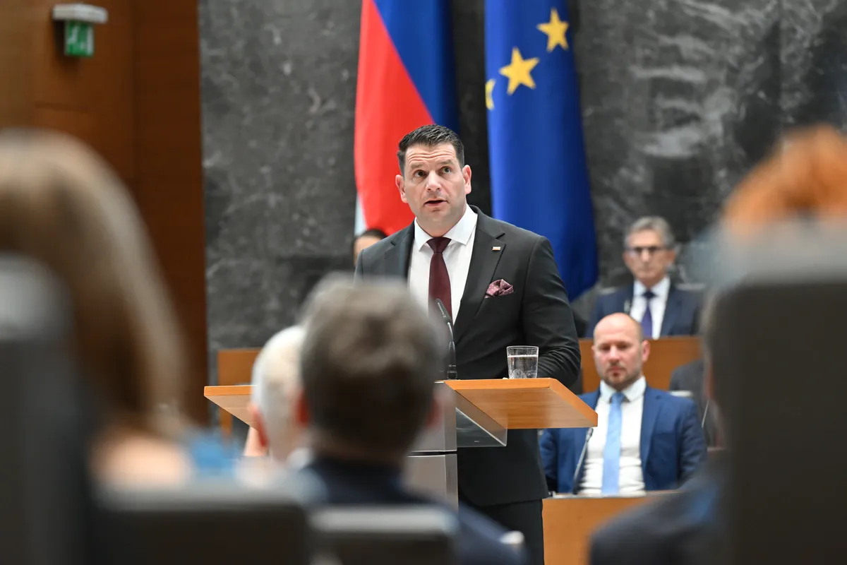 Slika članka
