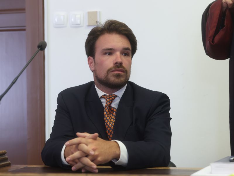 Slika članka