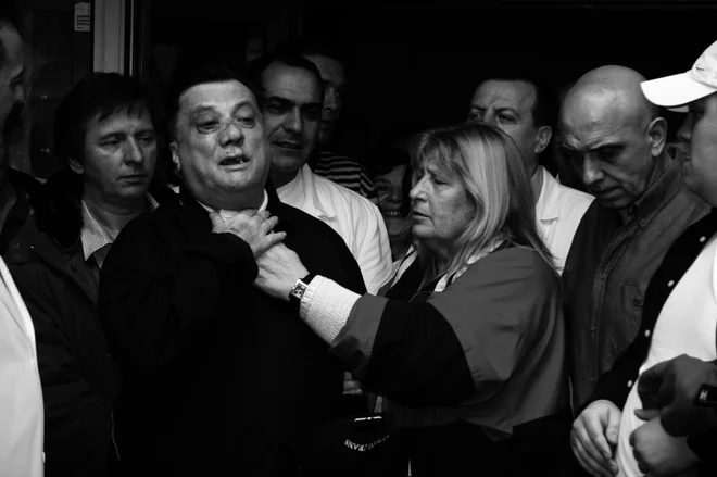 Slika članka