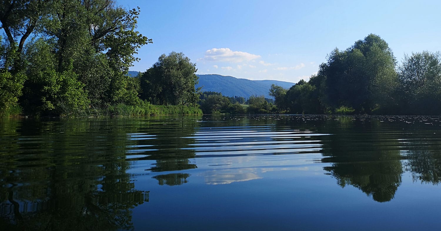 Slika članka