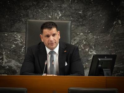 Slika članka