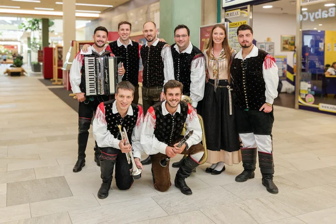 Slika članka
