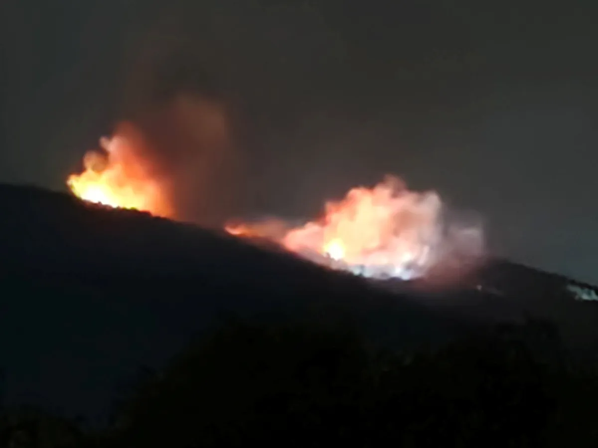 Slika članka