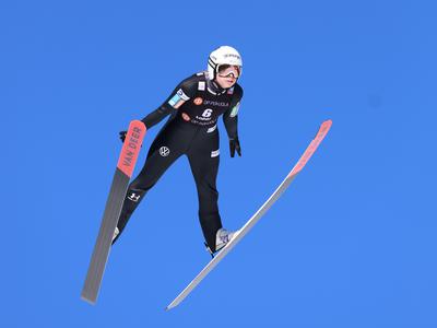 Slika članka