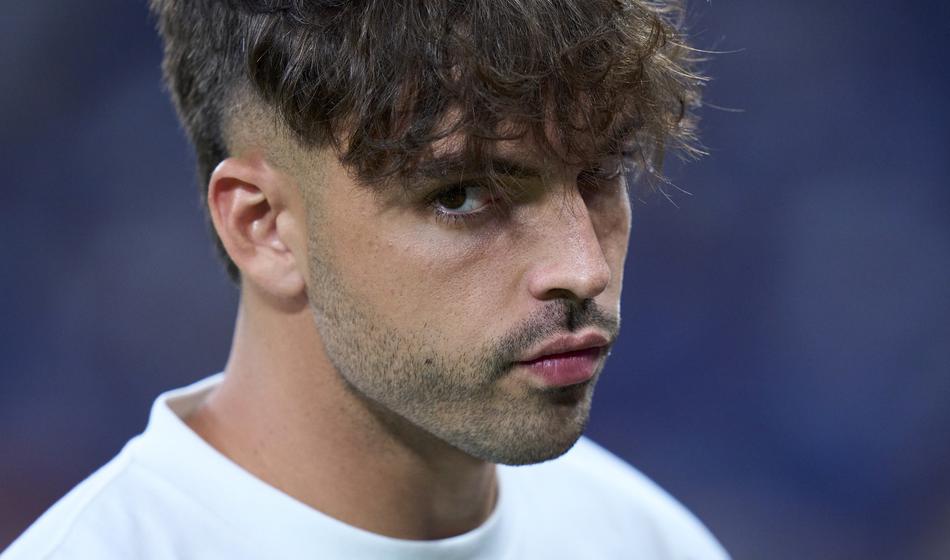 Slika članka