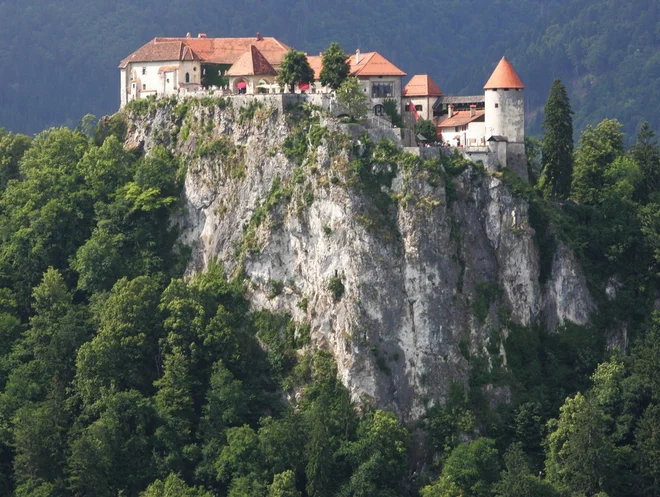 Slika članka