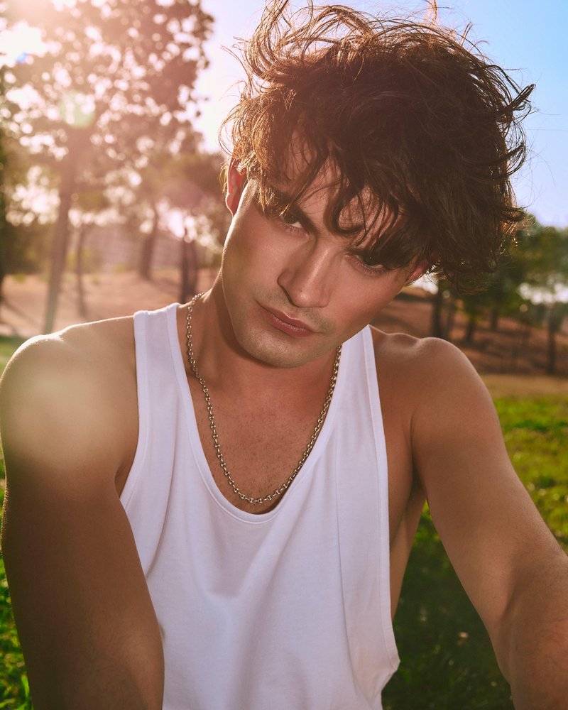 Slika članka