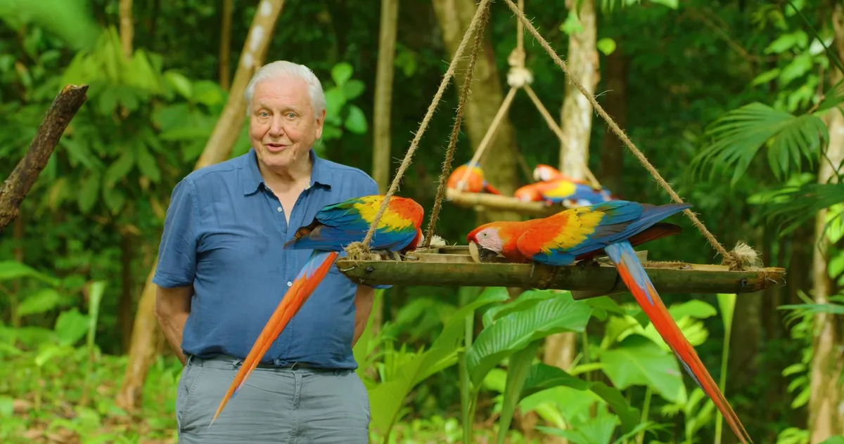 Slika članka