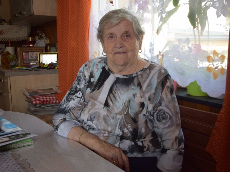 Slika članka