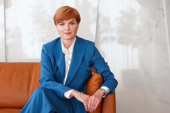 Slika članka