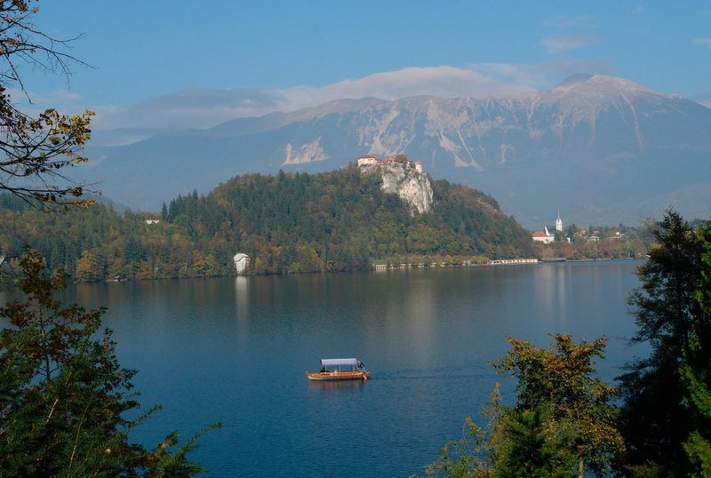 Slika članka