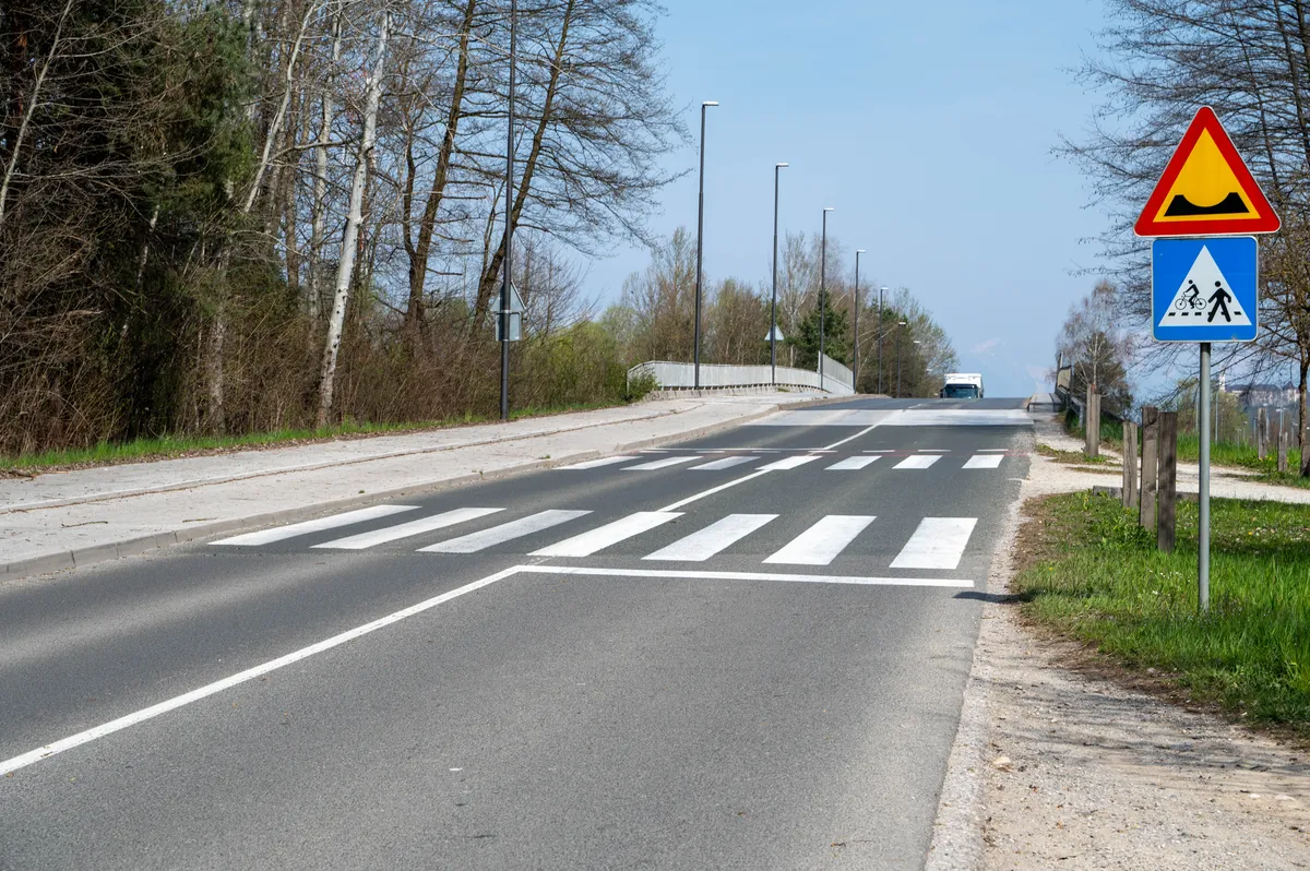 Slika članka
