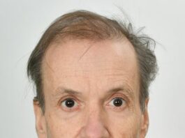 Slika članka