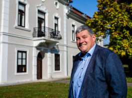 Slika članka