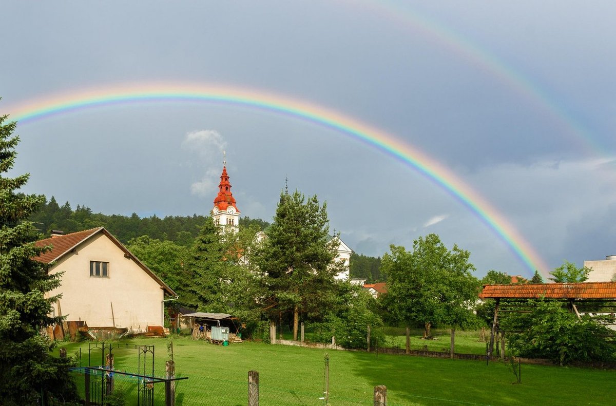 Slika članka