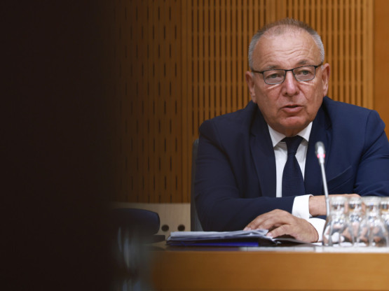 Slika članka