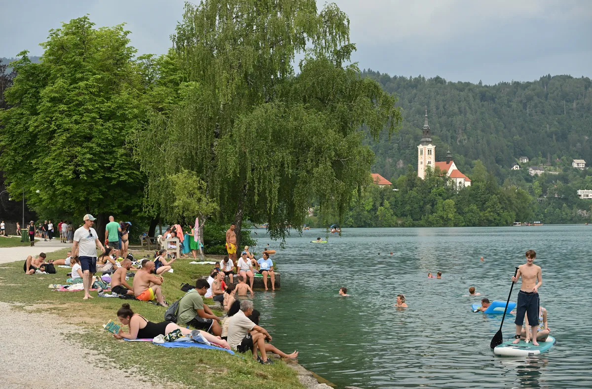 Slika članka
