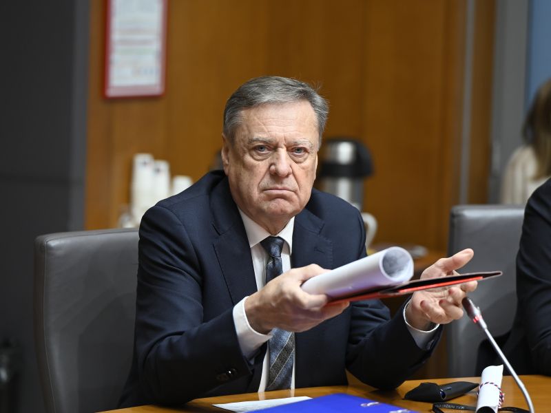 Slika članka