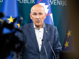 Slika članka