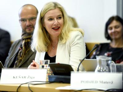 Slika članka
