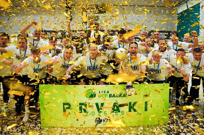 Slika članka