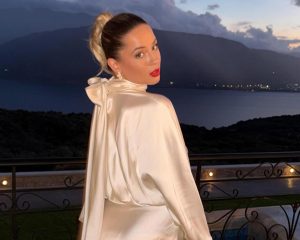 Slika članka