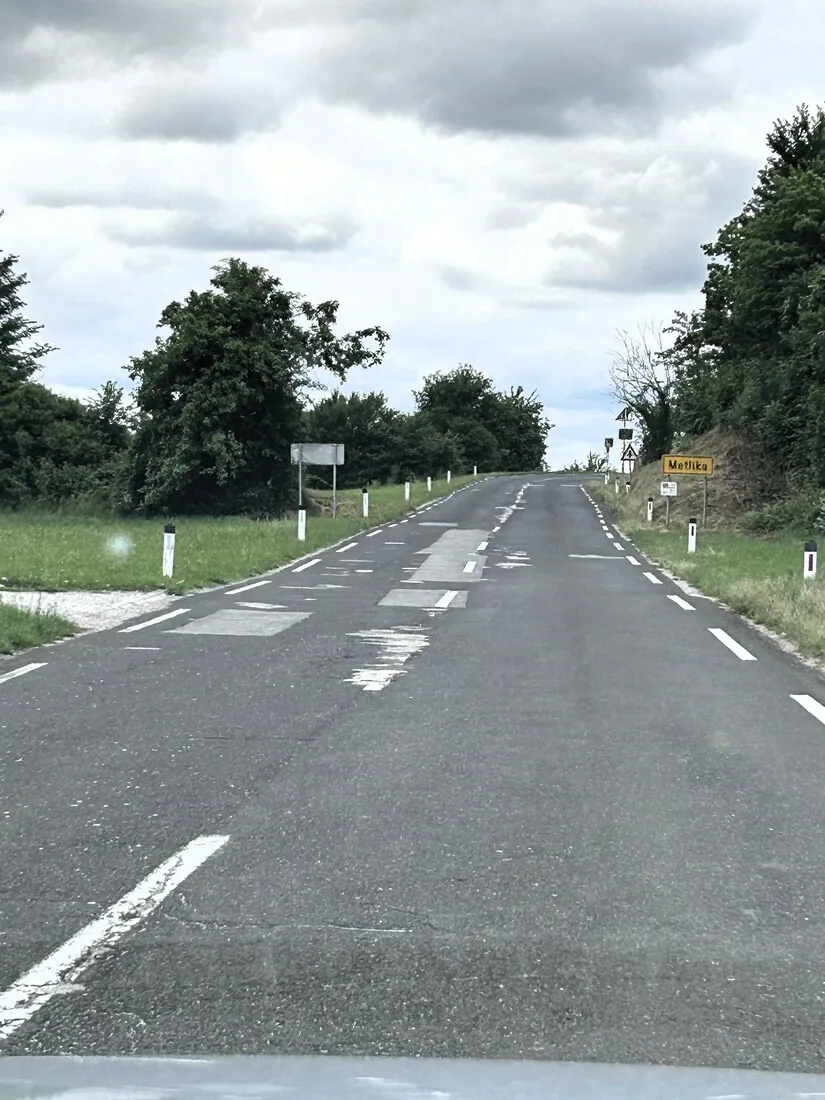 Slika članka