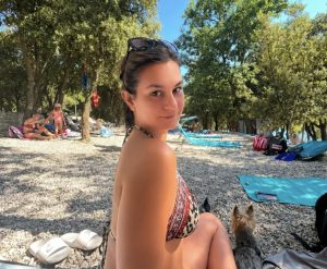 Slika članka