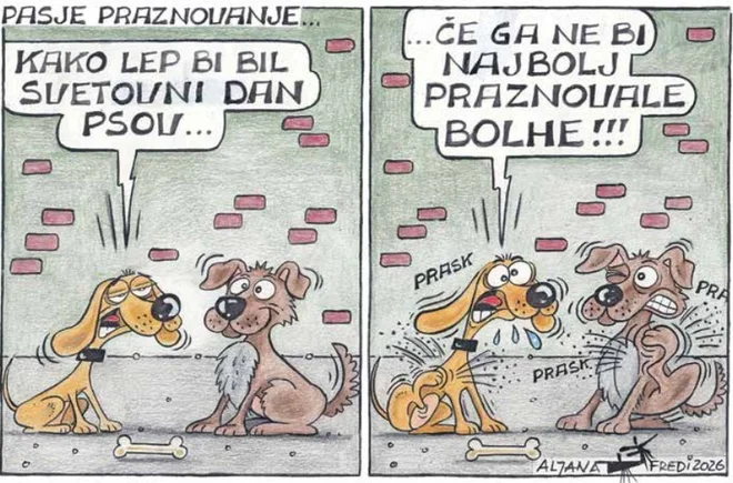 Slika članka