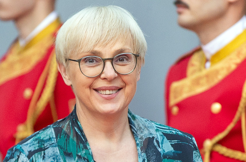 Slika članka