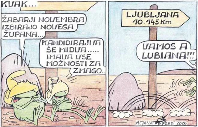 Slika članka