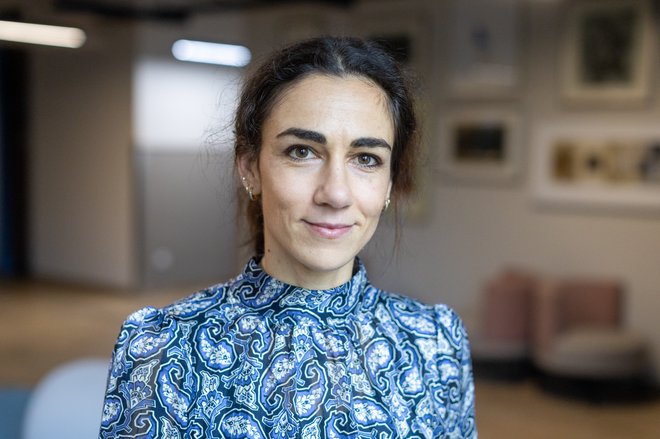 Slika članka