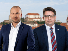Slika članka