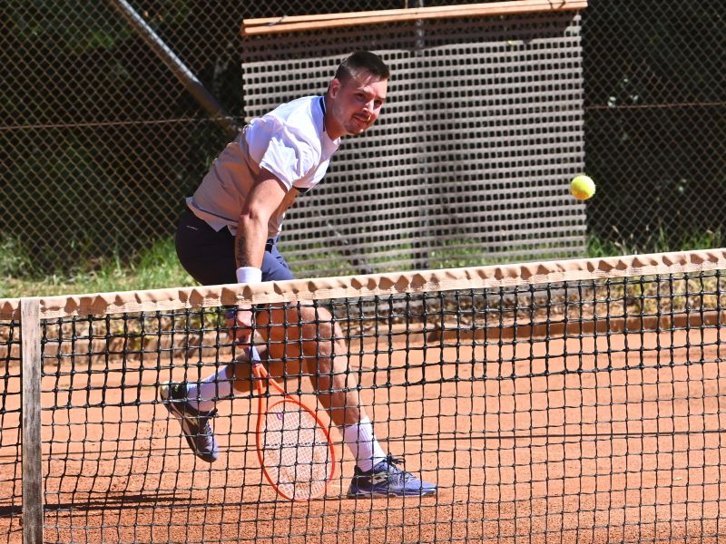 Slika članka