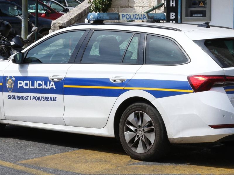 Slika članka