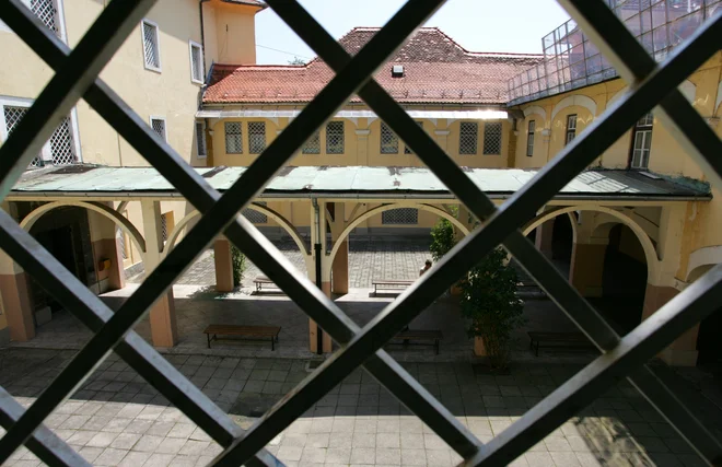 Slika članka