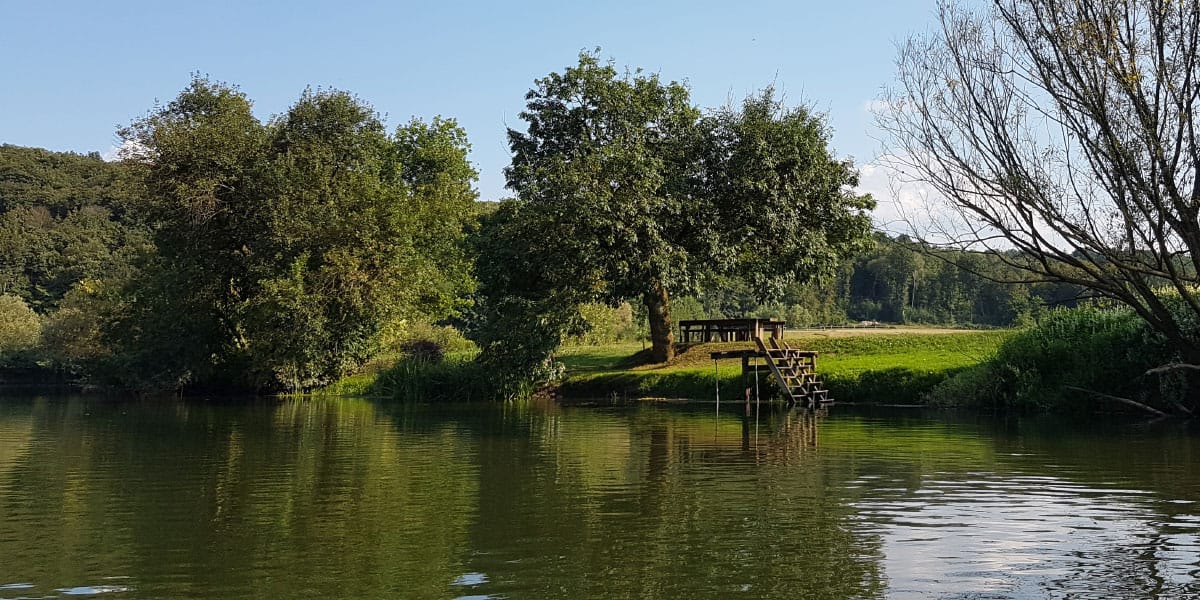 Slika članka