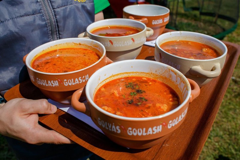 Slika članka