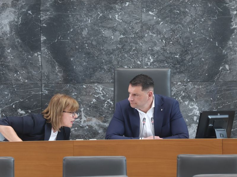 Slika članka