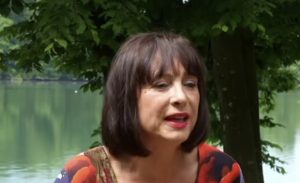 Slika članka