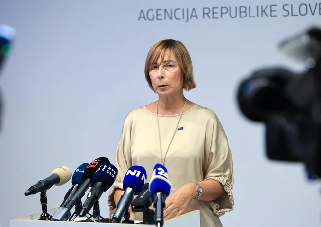 Slika članka
