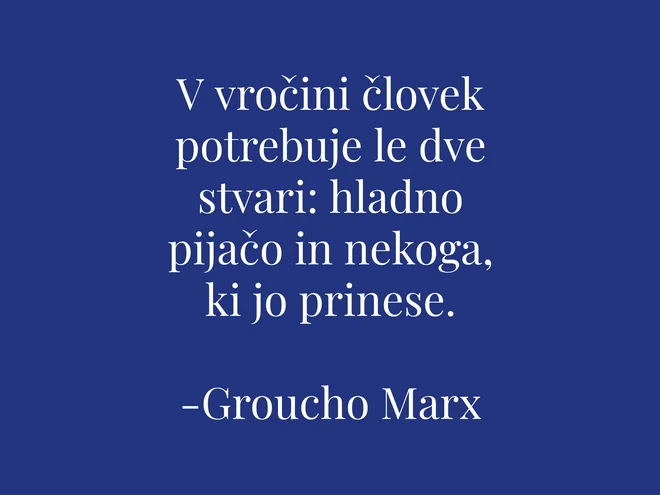 Slika članka