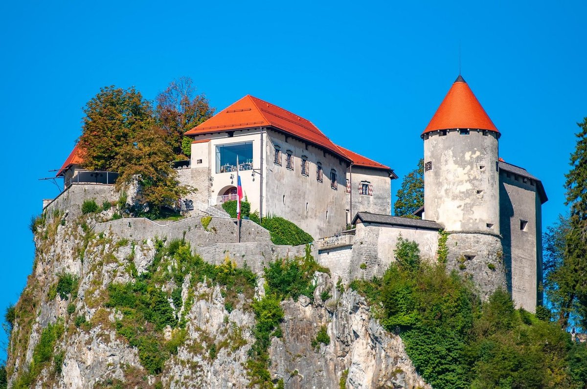 Slika članka