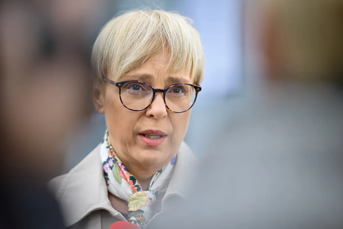 Slika članka