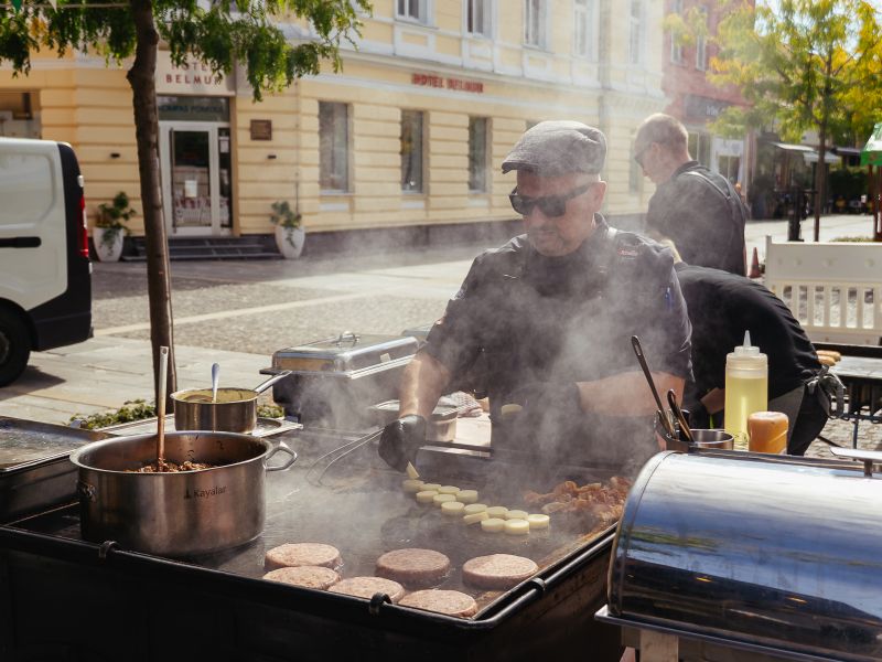 Slika članka