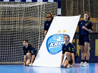 Slika članka