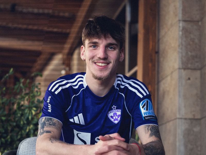 Slika članka